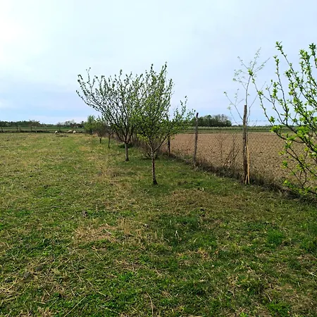 Jezero - Drvene Kucice Na Privatnom Jezeru Tatil parkı Šabac